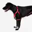 Zee.dog Arnés Neon Coral Soft Walk Harness Large
