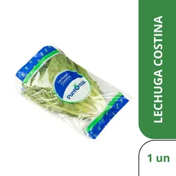 Punto Azul Lechuga Costina Fresca