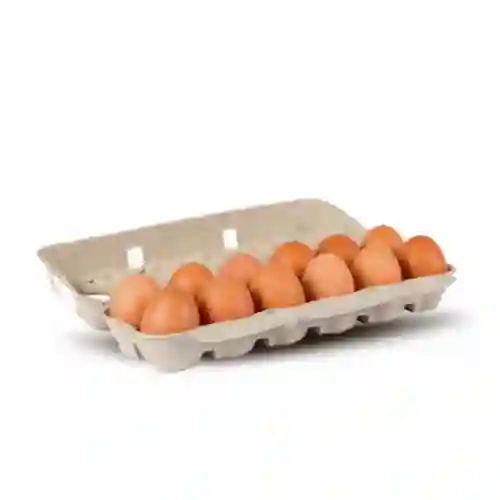 Bandeja 12 Huevos