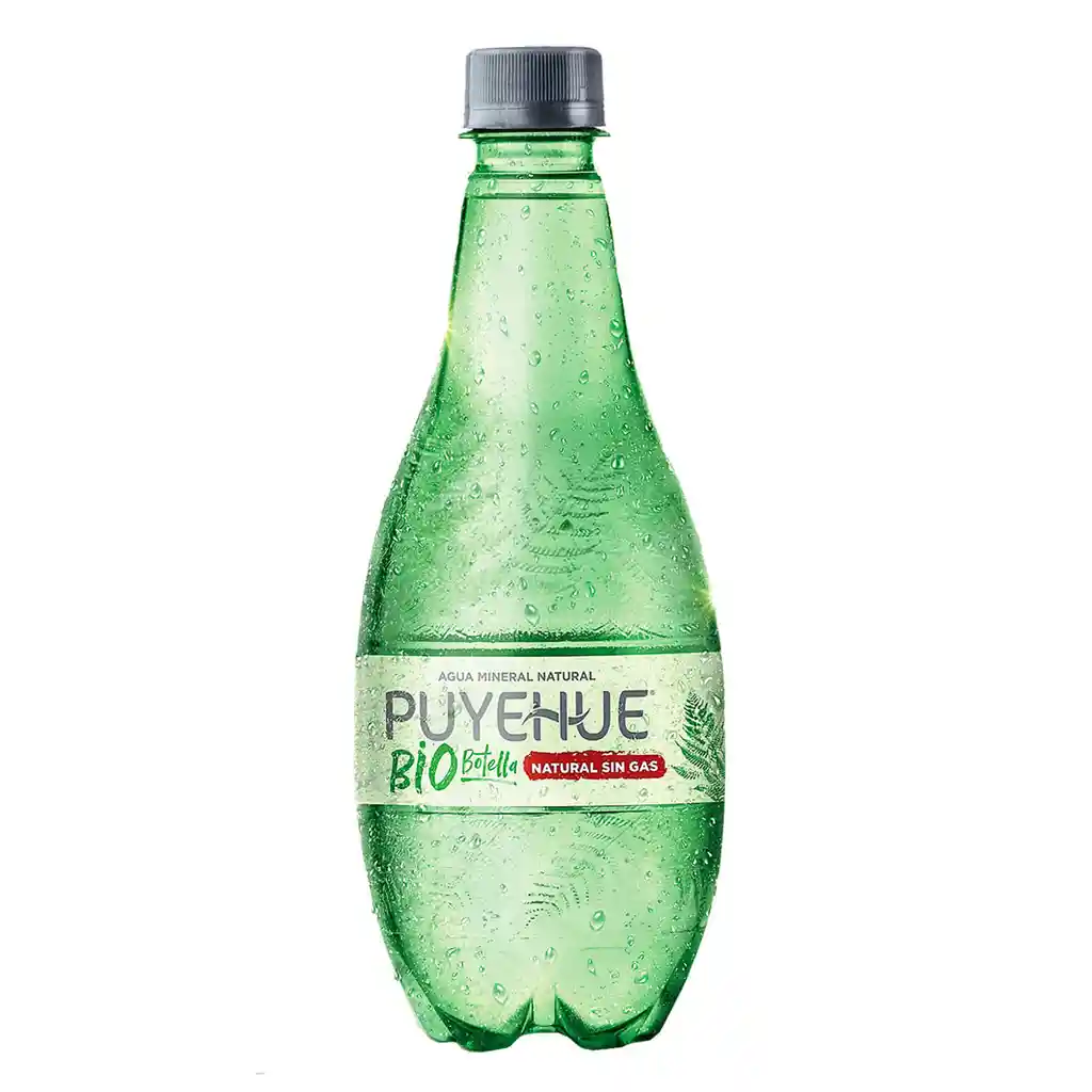 Puyehue Agua Mineral Sin Gas Biobotella