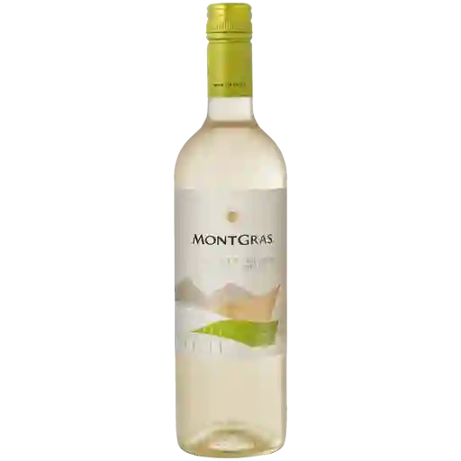 Montgras Vino Blanco Sauvignon Blanc