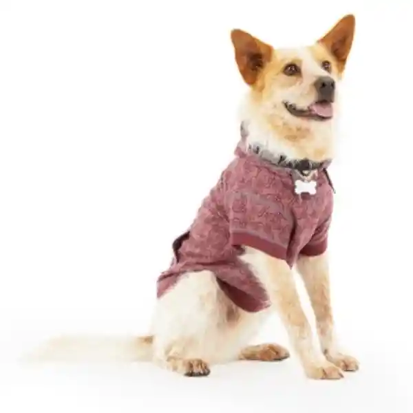 Reddy Sudadera Color Vino Con Capucha Para Perro Grande