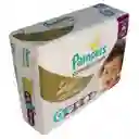 Pampers Panal Infantil Premium Care G