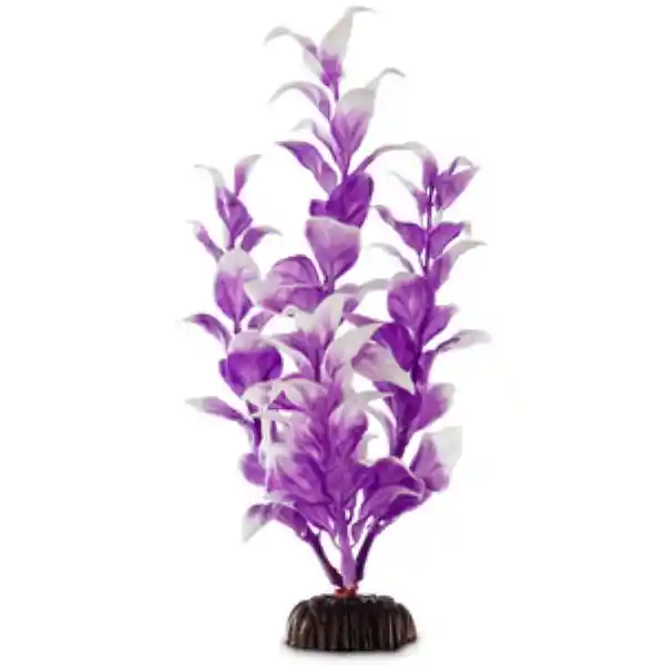 Imagitarium Planta Decorativa Ambulia  Acuario Morada