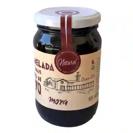 Quilvo Mermelada de Mora