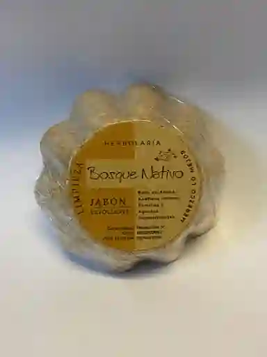 Bosque Nativo Jabón Exfoliante
