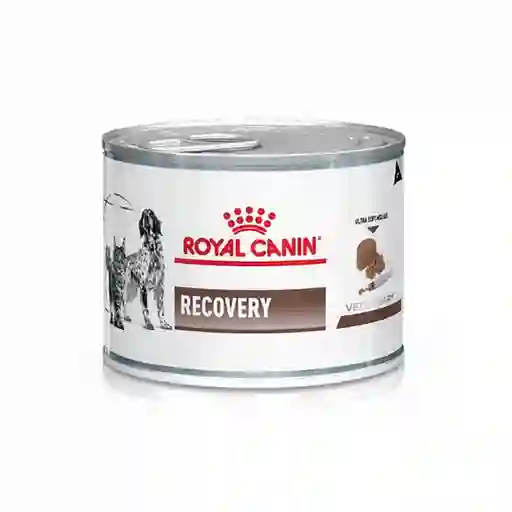 Royal Canin Alimento Húmedo Para Perro y Gato Recovery