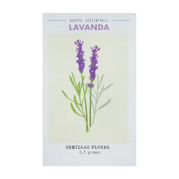 Semilla Flores Lavanda 0