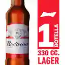 Budweiser Botella Individual 330cc.