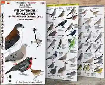 Aves Continentales de Chile Central Desplegable (Bilingue)