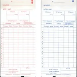 Tarjeta Reloj Control
