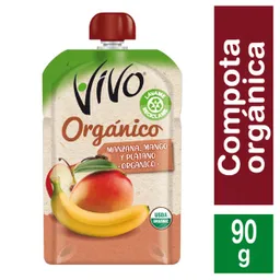 Vivo Compota Orgánica Manzana Pltano y Mango