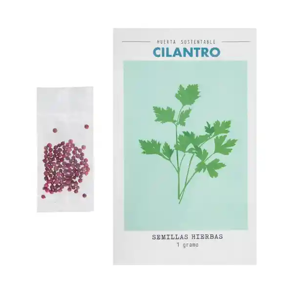 Cilantro Semilla de Hierbas