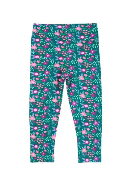 Leggins Rapport Arctic 200 Bebé Niña Verde 6 a 12 Meses Ficcus