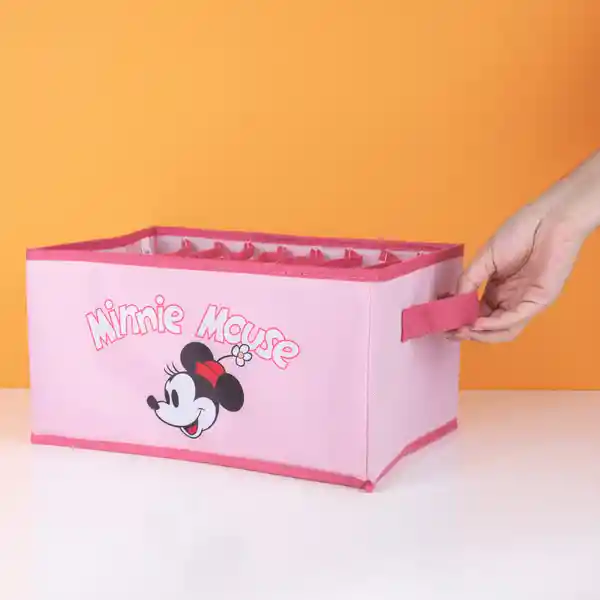 Organizador Con Compartimentos Miniso