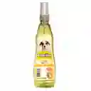 Colonia Petbrilho Baby Dog