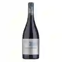 Casas Del Bosque Vino Pinot 750 cc