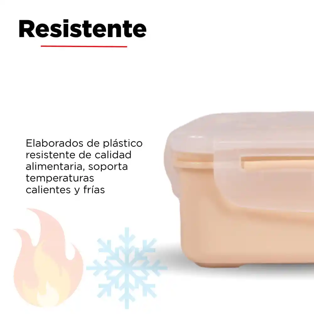 Miniso Contenedor y Tapa