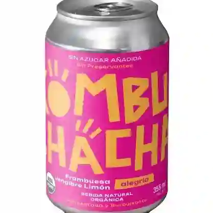 Kombucha Frambuesa, Jengibre y Limon