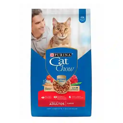 Cat Chow Alimento Seco Gato Carne