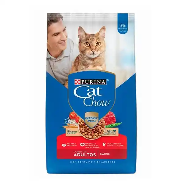 Cat Chow Alimento Seco Gato Carne