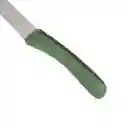 Set de Cuchillos de Acero Inoxidable Casaideas