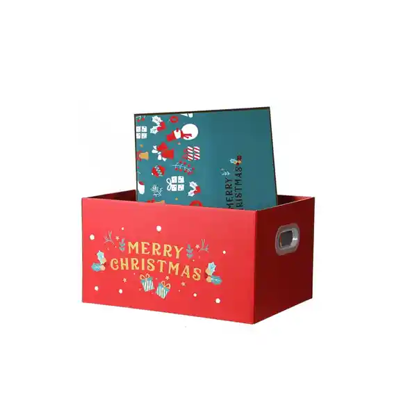 Caja de Almacenamiento Miniso