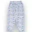 Set Pijama Niño Gris Claro Talla 10 A Pillín