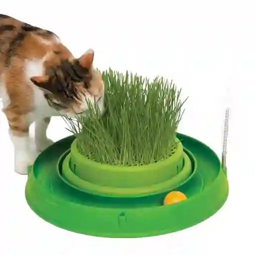 Cat it Pasto Artificial Para Gato Circuito 3 en 1