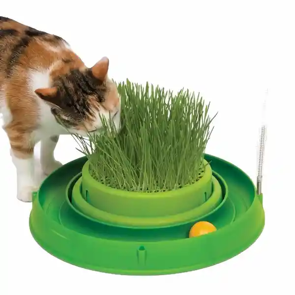 Cat it Pasto Artificial Para Gato Circuito 3 en 1