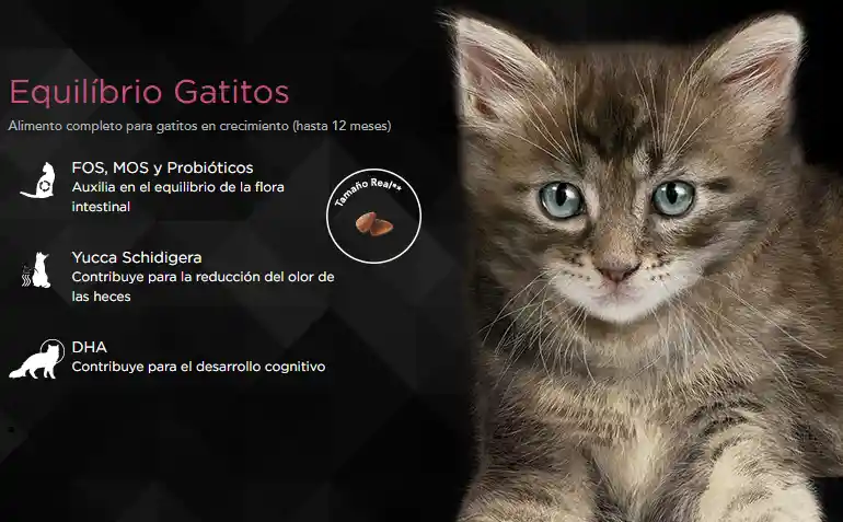 Equilibrio Alimento Para Gato Seco Salmon