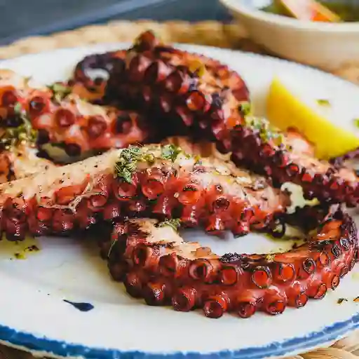 Pulpo grill finas hierbas