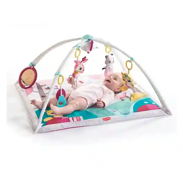 Gimnasio Tiny Princess Tales Gymini Deluxe