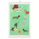 Paño Cocina de Algodón Velour Estampado Verde Casaideas