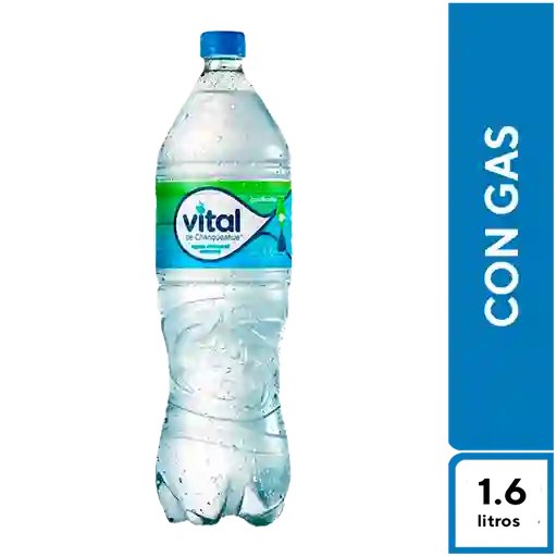 Vital con Gas 1.6 l