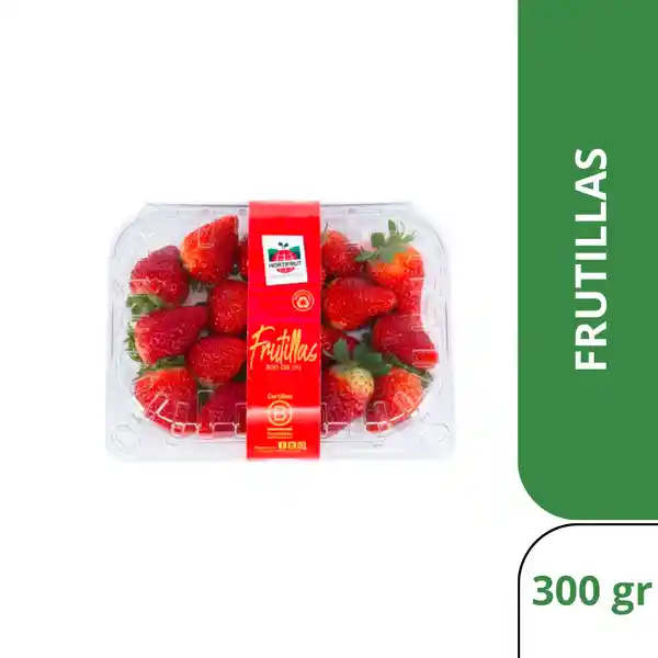 Hortifrut Frutillas Frescas