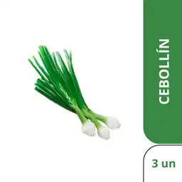 Cebollín