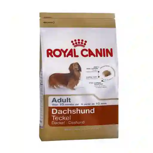 Royal Canin Alimento para Perro Alto Dachshund 