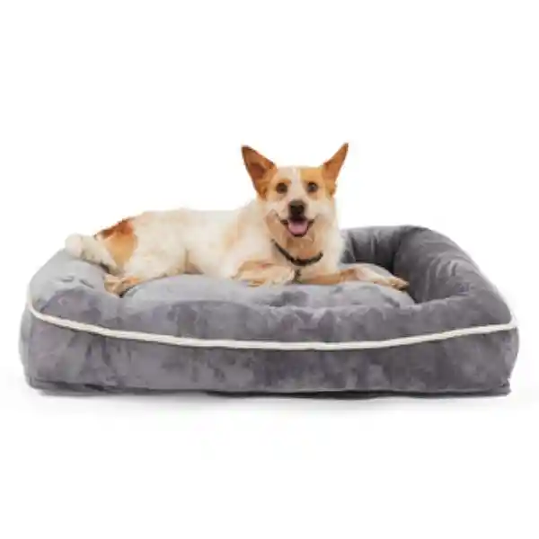 Eevryyay Snooze Fest Lounger Cama Extendida Gris Perro Grande