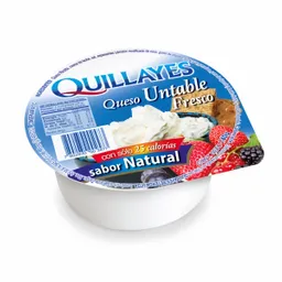 Queso Quillayes Untable Fresco Natural