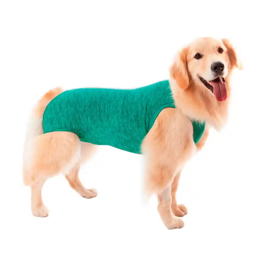 Petmed Body Quirúrgico Perro Verde Talla 2