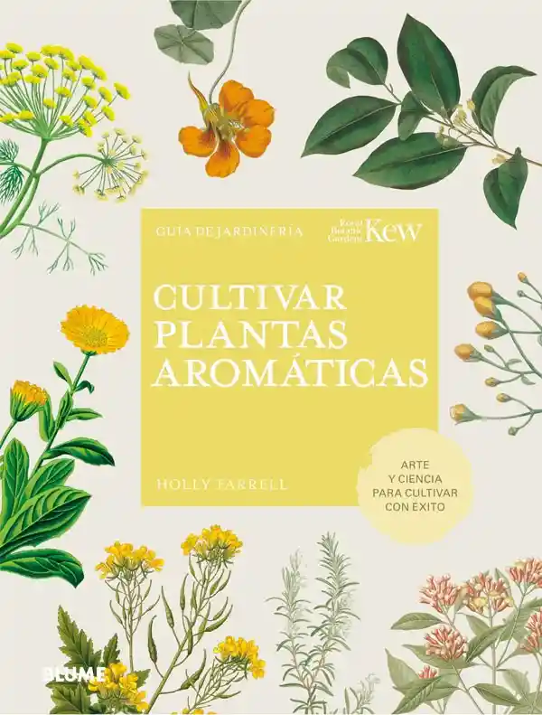 Cultivar Plantas Aromáticas