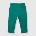 Pantalón de Bebé Niño de Buzo Green Verde Talla 36M Colloky