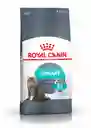 Royal Canin Alimento para Gato Urinary Care