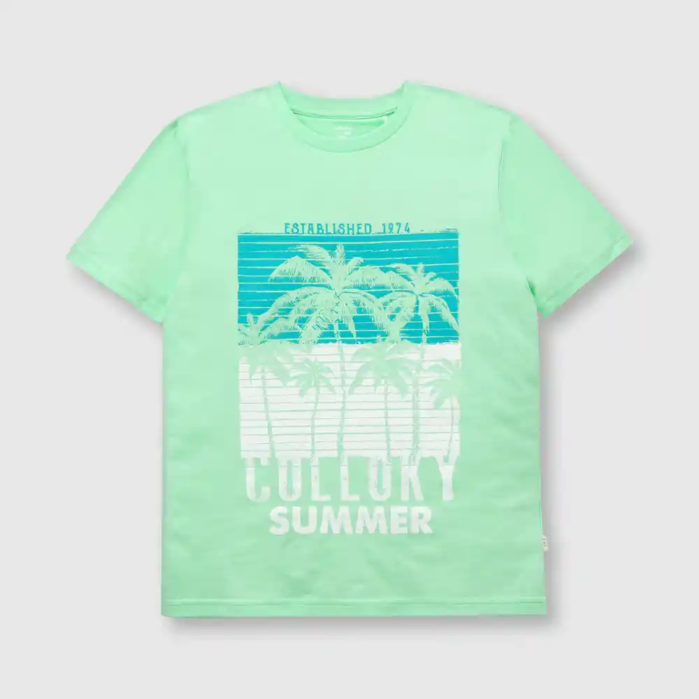 Polera Tropical Niño Lima Talla 2a