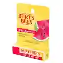 Burt's Bees Bálsamo Labial Watermelon