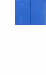 Pradaxa Dabigatran 110 Mg