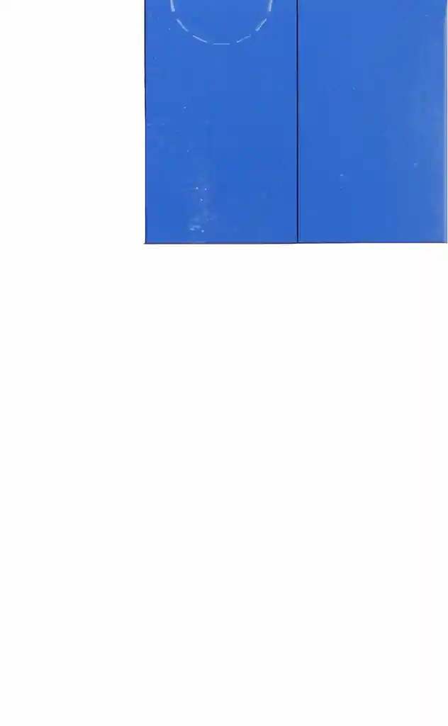 Pradaxa Dabigatran 110 Mg