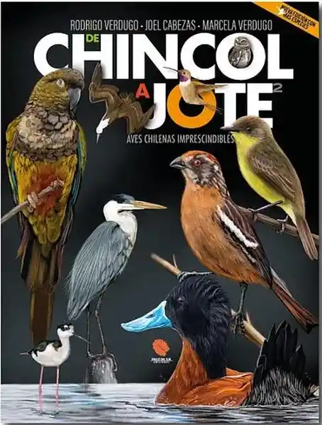 De Chincol a Jote 2. Aves Chilenas Imprescindibles