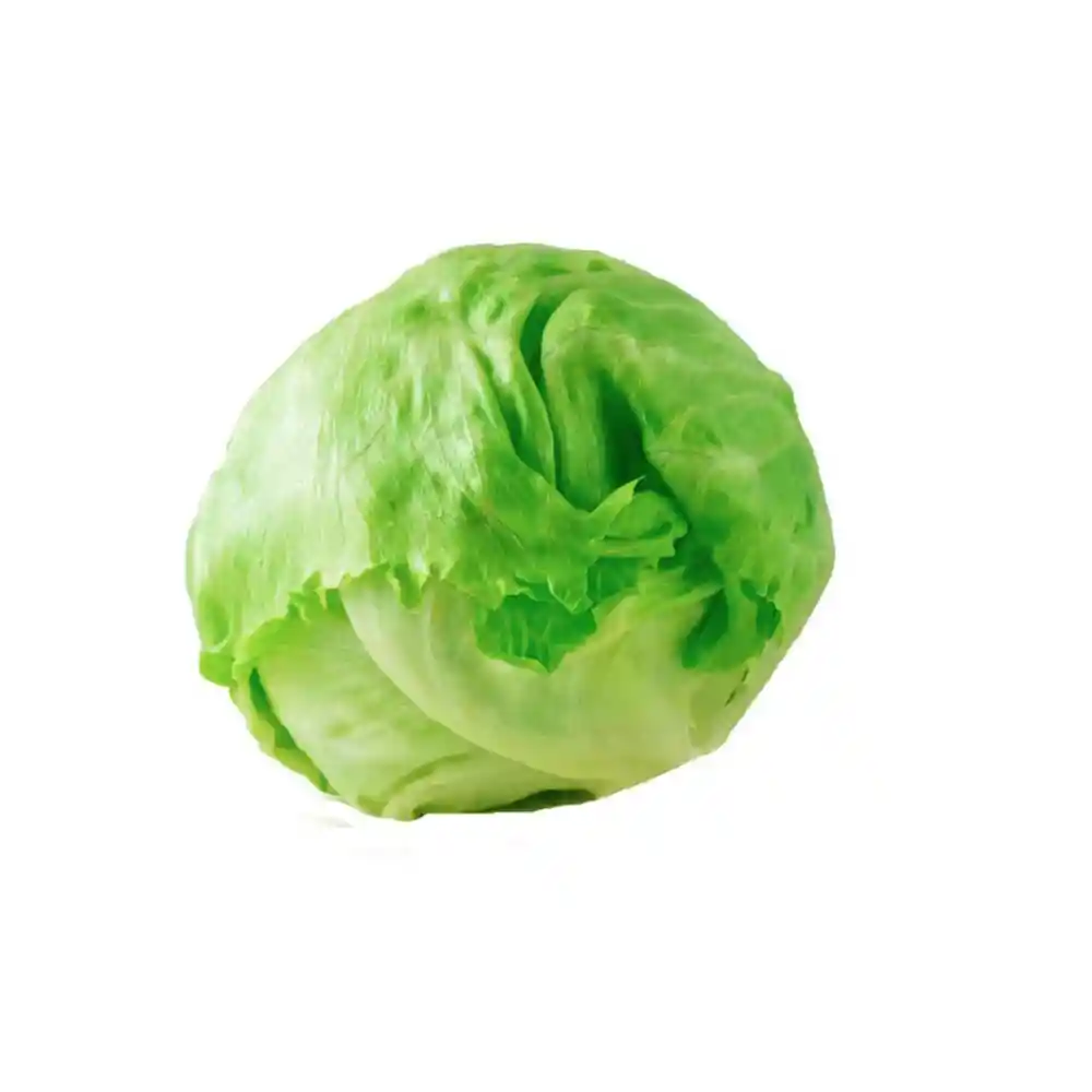 Lechuga Escarola Unidad